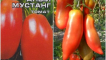 Charakteristika a popis odrůdy rajčat šarlatový mustang