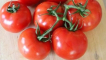 Charakteristika a popis odrůdy rajčat blagovest, její výnos