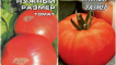 Charakteristika a popis odrůdy rajčat požadované velikosti, její výnos