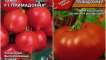 Charakteristika a popis odrůdy rajčat primadonna, její výnos