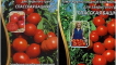 Charakteristika a popis odrůdy rajčat spasskaya věž, její výnos