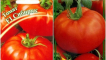 Charakteristika a popis odrůd rajčat sibiryak, sibiryachok a sibiryak matky, jejich výnos