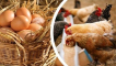 Jaké přísady jsou potřebné pro produkci vajec nosnic a jak dávat, co by nemělo být