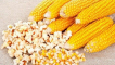 Názvy odrůd kukuřice na popcorn, jejich pěstování a skladování
