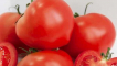Popis odrůdy rajčat azov, doporučení pro pěstování a péči