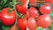 Popis obchodníka s odrůdou rajčat, jeho vlastnosti a výnos