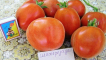 Popis odrůdy rajčat šeherezáda a její vlastnosti