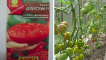 Popis odrůdy rajčat super steak a její výnos a pěstování