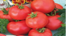 Charakteristika a popis odrůdy rajčat dar zavolzhya