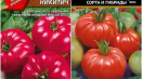 Charakteristika a popis odrůdy rajčat dobrynya nikitich