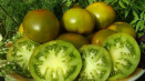 Charakteristika a popis odrůdy rajčete smaragdové, její výnos