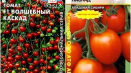 Charakteristika a popis kaskády odrůd rajčat, její výnos