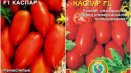 Charakteristika a popis odrůdy rajčete kaspar, její výnos