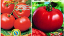 Charakteristika a popis odrůdy rajčat max, její výnos