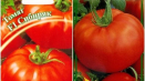 Charakteristika a popis odrůd rajčat sibiryak, sibiryachok a sibiryak matky, jejich výnos