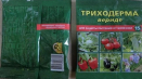 Návod k použití trichoderma je věrný a míra spotřeby biologického přípravku