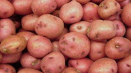 Popis odrůdy brambor slavyanka, vlastnosti pěstování a péče