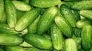 Popis odrůdy mamlúcké okurky, její pěstování a péče