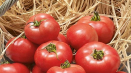 Popis odrůdy rajčat erofeich růžové, vlastnosti pěstování a péče