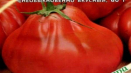 Popis odrůdy rajčat louis 17, vlastnosti pěstování a péče