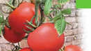 Popis daru odrůdy rajčat, jeho vlastností a produktivity