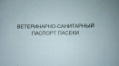 Jemnosti registrace veterinárního a hygienického pasu včelína, jak jej získat