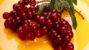 Top 10 jednoduchých receptů na výrobu kompotu z červené třešně
