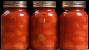 Top 15 receptů na uchování rajčat v rajčatovém protlaku na zimu