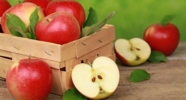 12 Nejlepších receptů na výrobu jantarových jablečných řezů na zimu