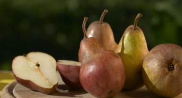 13 Nejlepších receptů na výrobu hruškových polotovarů na zimu