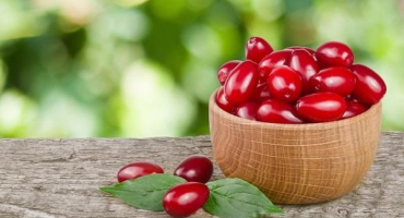 15 Nejlepších receptů na vaření dřínových polotovarů na zimu