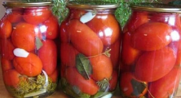 15 Jednoduchých receptů krok za krokem na nakládání rajčat na zimu do sklenic