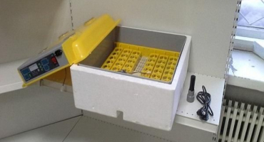 17 Nejlepších inkubátorů pro domácnost pro domácnosti