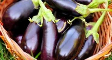 2 Z nejlepších receptů na vaření lilku v oleji na zimu