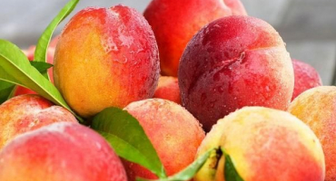 3 Lahodné recepty na jablečný a broskvový kompot na zimu