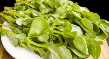 4 Recepty krok za krokem na marinovanou portulaku v arménštině na zimu