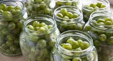 5 Nejlepších receptů na sklizeň nakládaných angreštů na zimu