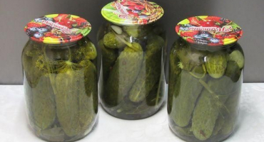 5 Receptů krok za krokem na solení okurek na zimu bez cukru