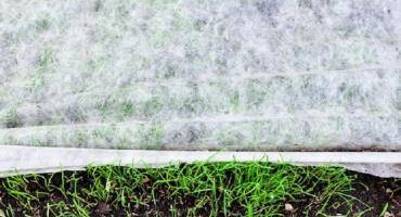 5 Druhy potahového materiálu na postele, klady a zápory a jak vybrat ten správný