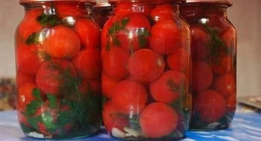 6 Receptů krok za krokem na nakládání rajčat s česnekem uvnitř rajčete na zimu