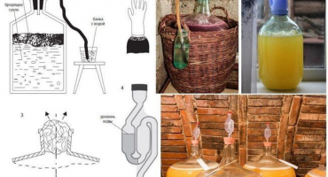 6 Jednoduchých receptů na domácí výrobu vína z březové mízy