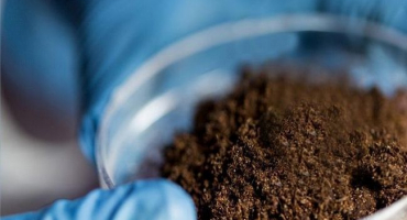 7 Způsobů, jak deoxidovat půdu doma, když se to vyplatí