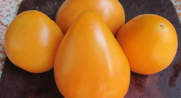 8 Nejlepších receptů krok za krokem pro přípravu žlutých rajčat na zimu