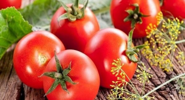 9 Nejlepších receptů krok za krokem na rajčata s cibulí a olejem na zimu