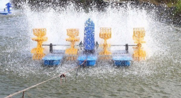 Provzdušňovač pro jezírko: princip fungování, montáž a přehled nejlepších modelů