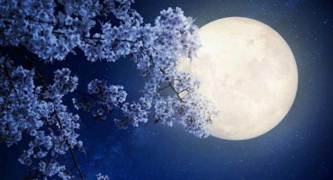 Příznivé a nepříznivé dny v dubnu pro výsadbu podle lunárního kalendáře 2022