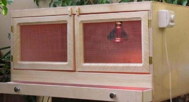 Brooders pro kuřata: přehled konfekce + diy výroba