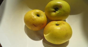 Rychlý recept na výrobu jablečného džemu na klínky na zimu