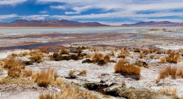 Jaký je rozdíl mezi solnými lizy a slaniskami a jejich vlastnosti, konkrétní použití