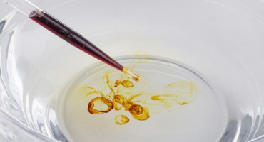 Proč je jód užitečný pro králíky?